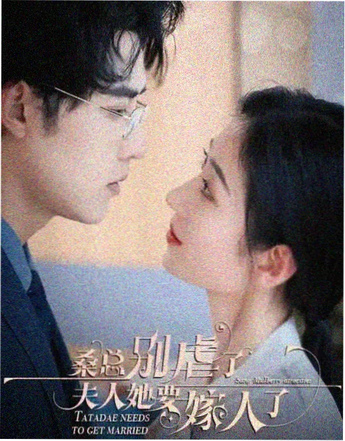 雾港档案详情页剧照索引